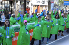 Bildschirmfoto 2017-08-12 um 13.31.10