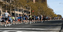 Bildschirmfoto 2017-08-12 um 15.55.08