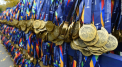 Bildschirmfoto 2017-08-13 um 14.04.30